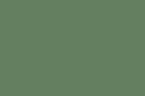 Site using Mgl-instagram-gallery plugin