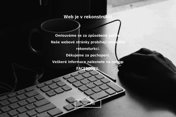 Adams theme site design template sample