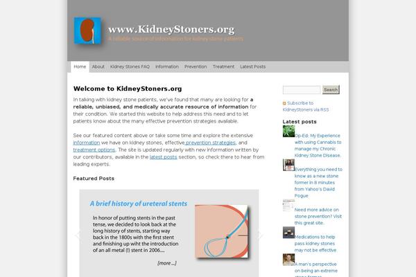 Salinger theme site design template sample