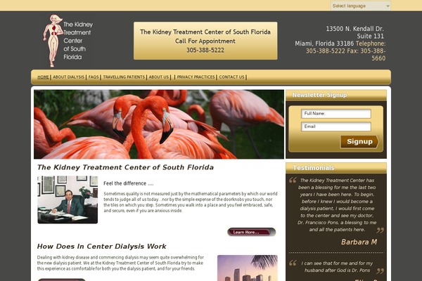 Zerif Lite theme site design template sample