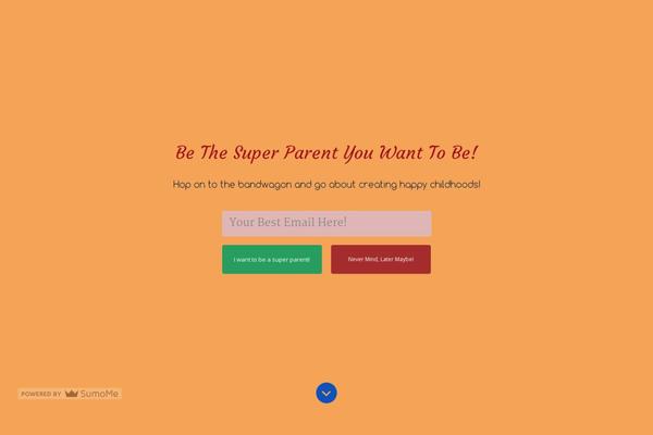 Site using Instagram Widget by WPZOOM plugin