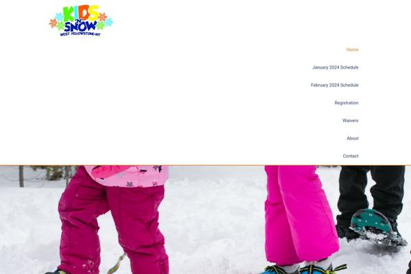 Site using Elementor-pro plugin