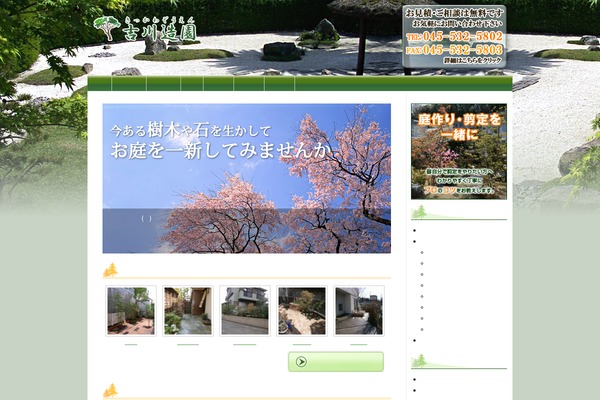 Site using Head Cleaner plugin