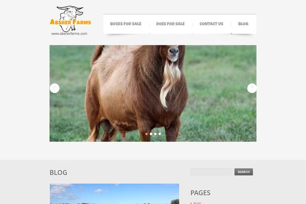 kikogoatsforsale.com site used Theme1619