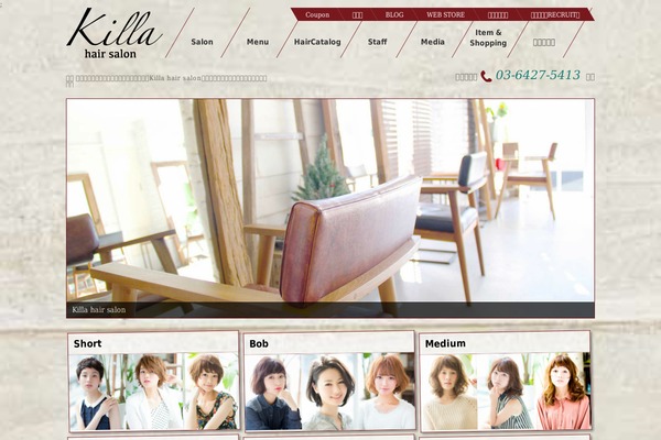 Site using Insta-gallery-pro plugin