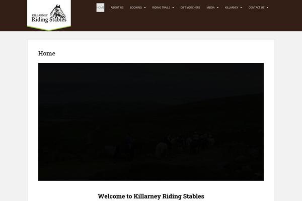 Site using Revslider-nulled plugin