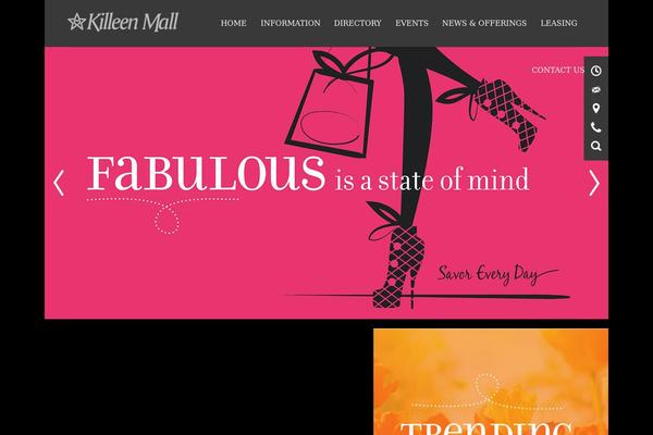 Imagcenters theme site design template sample