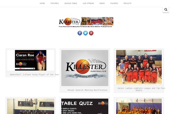 Hestia theme site design template sample