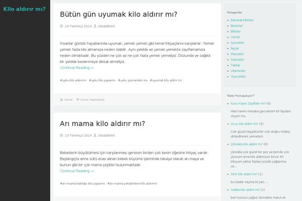Hudson theme site design template sample