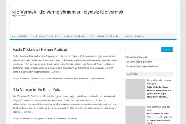 Iconic One theme site design template sample
