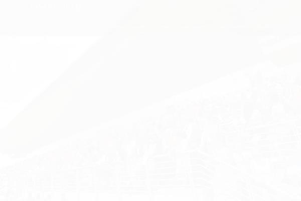 Horseclub theme site design template sample