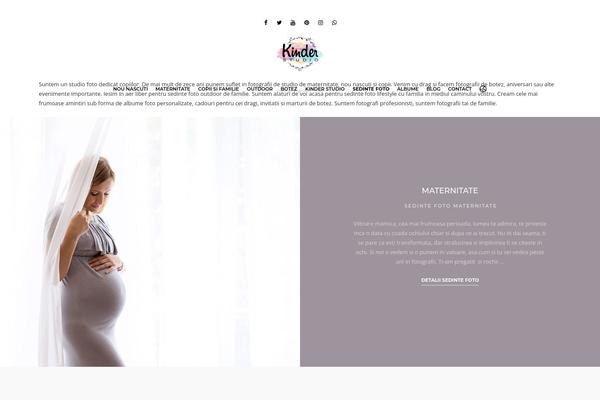 Sceneone theme site design template sample