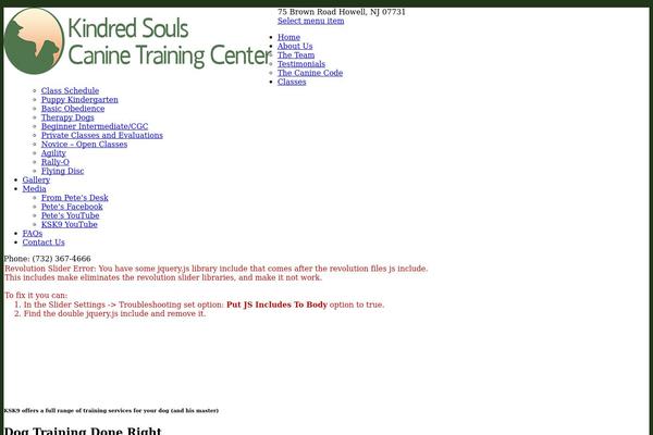 Site using Pc-google-analytics plugin