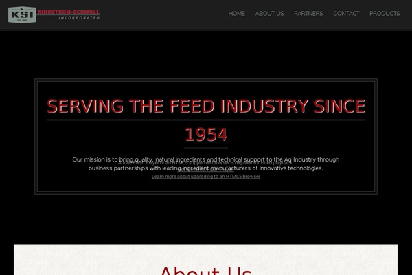 Site using BVD Easy Social Feeds & Images plugin