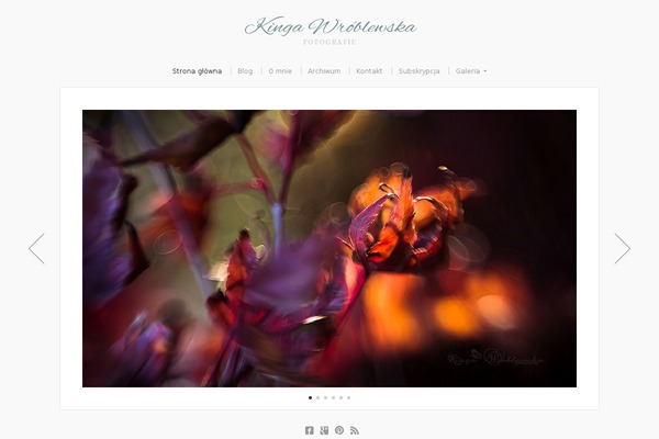 Organic_photographer theme site design template sample