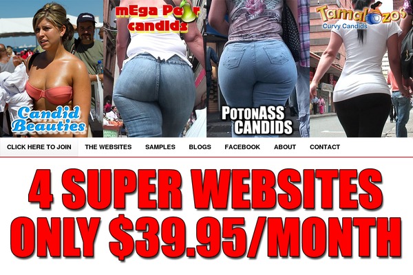 zeeNews theme site design template sample