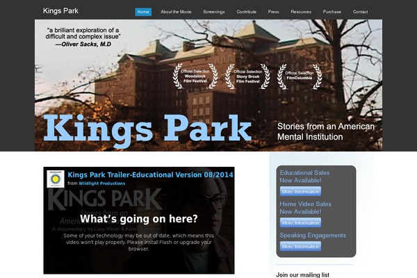Business theme site design template sample