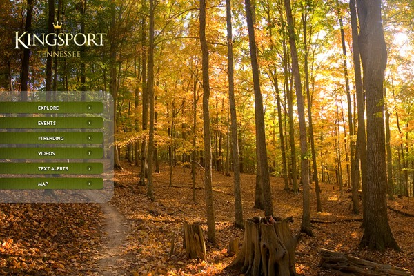 King theme site design template sample