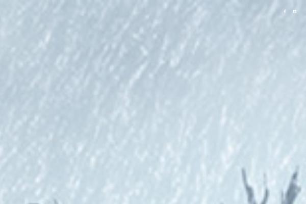 Wizard theme websites examples