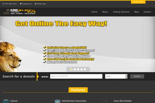 Megahost theme site design template sample