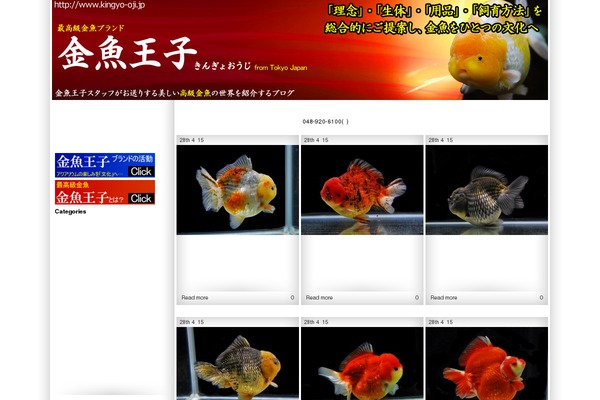 Fotogram theme site design template sample
