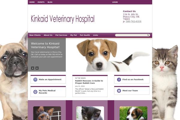 Site using Lifelearn-accessibility plugin