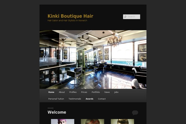 Twenty Eleven theme site design template sample