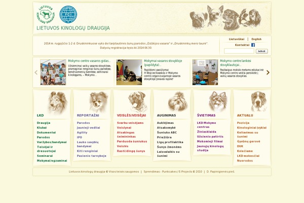 site-theme theme websites examples