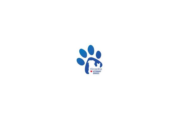 Site using Lifelearn-accessibility plugin