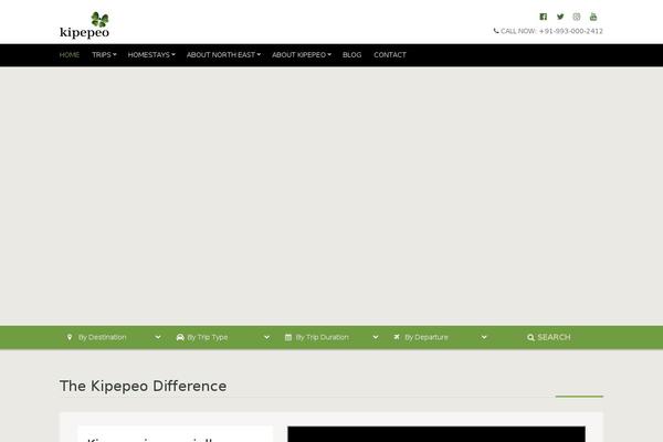 Site using Socials Ignited plugin