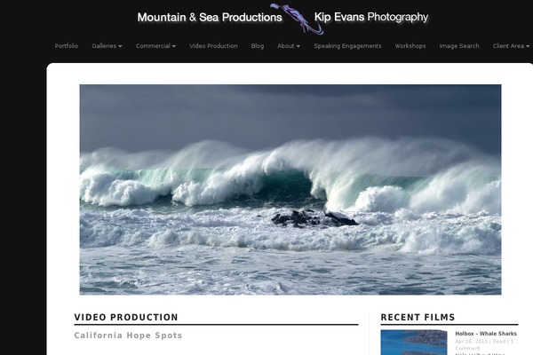Modularity theme site design template sample