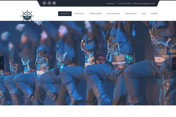 Site using Infinity-seo-portfolio plugin