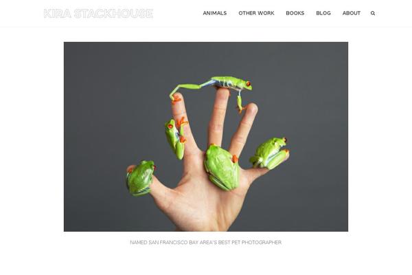 Site using Simply Instagram plugin