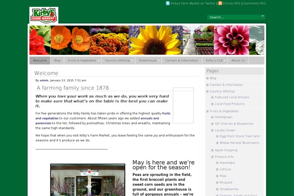 Panorama theme site design template sample