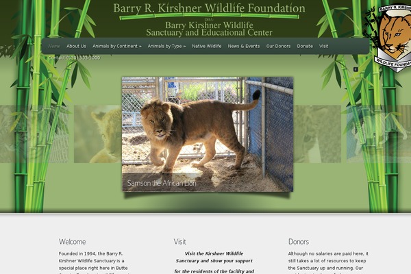 Envisioned theme site design template sample