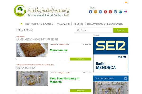 Site using Category-rss-widget-menu plugin