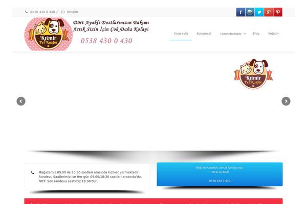 Site using Salon-booking plugin