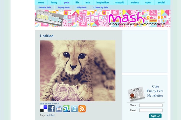 kittymash.com site used Newcastpals