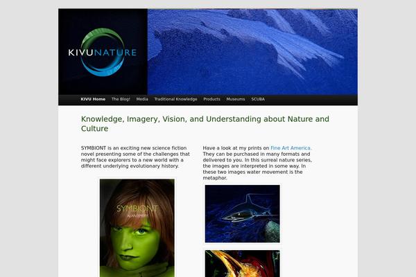 Site using WORDPRESS VIDEO GALLERY plugin