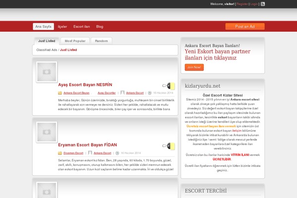 ilan theme websites examples