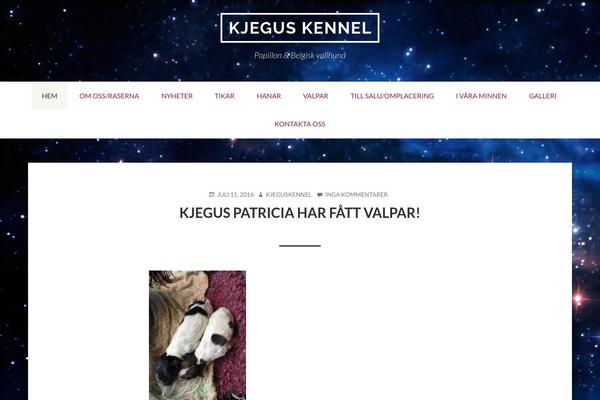 Toivo Lite theme site design template sample