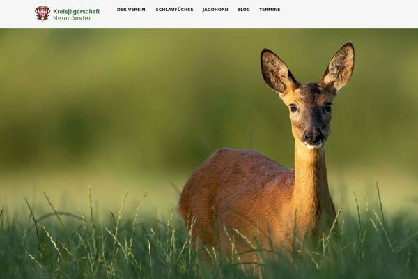 kjs-neumuenster.de site used Envit