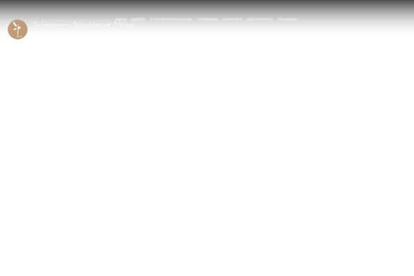 Site using Remove Uppercase Accents plugin