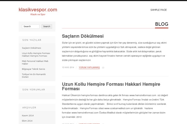Tesla theme site design template sample