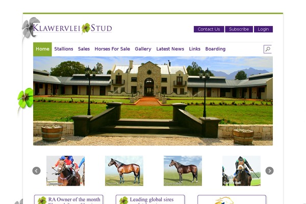 Unique theme site design template sample