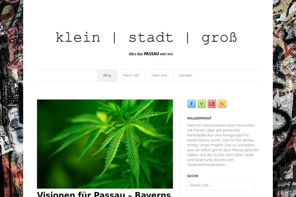 Site using Candy Social Widget plugin