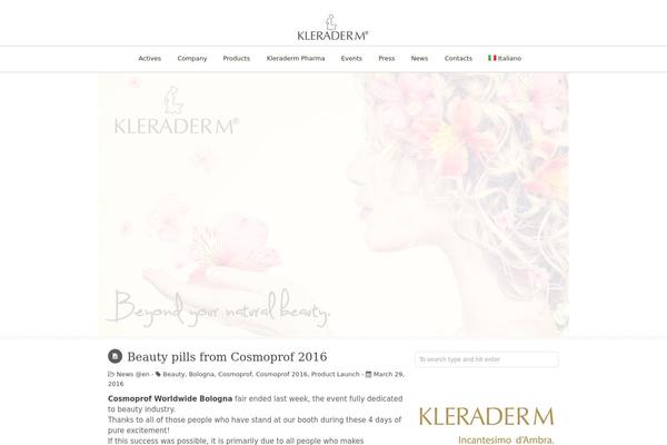 DonateNow theme site design template sample