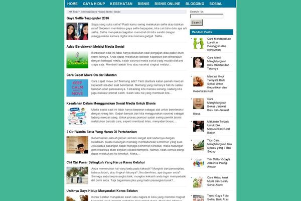 Site using Related Posts by Zemanta plugin
