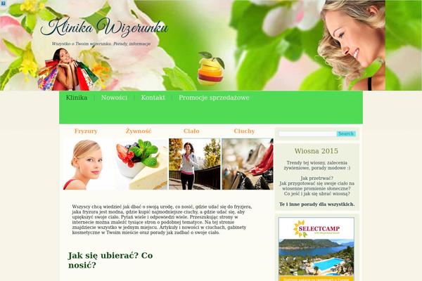 Site using Helion Widgets Pro plugin