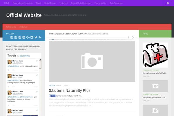 Flexibility3 theme site design template sample